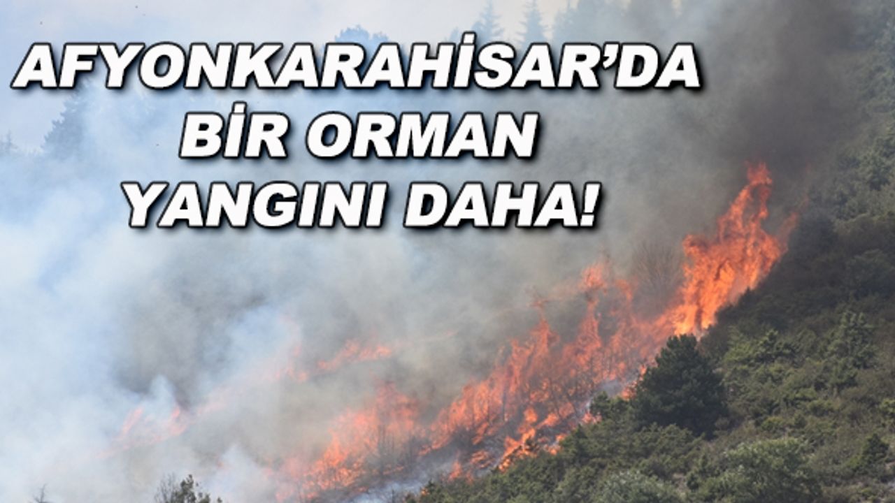 Afyonkarahisar'da bir orman yangını daha!