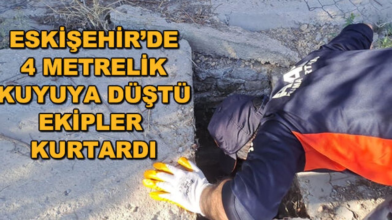 Eskişehir'de 4 metrelik kuyuya düştü, ekipler kurtardı