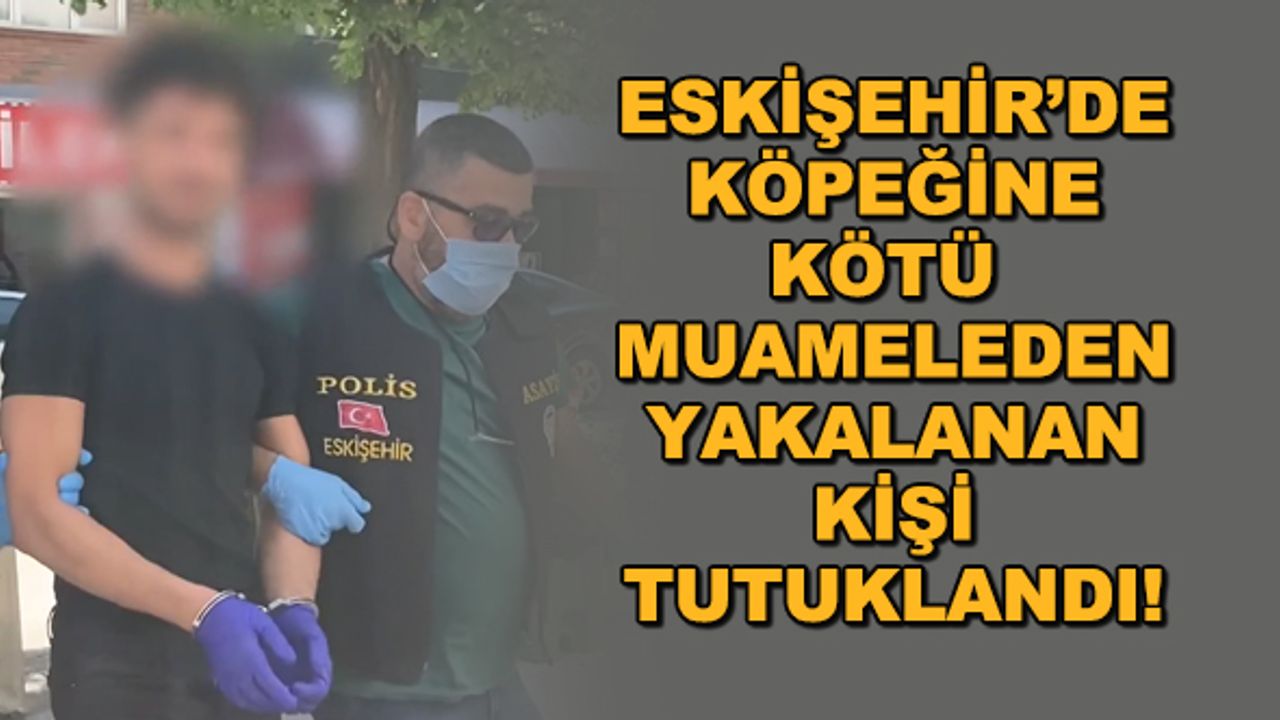 Eskişehir'de köpeğine kötü muameleden yakalanan kişi tutuklandı!