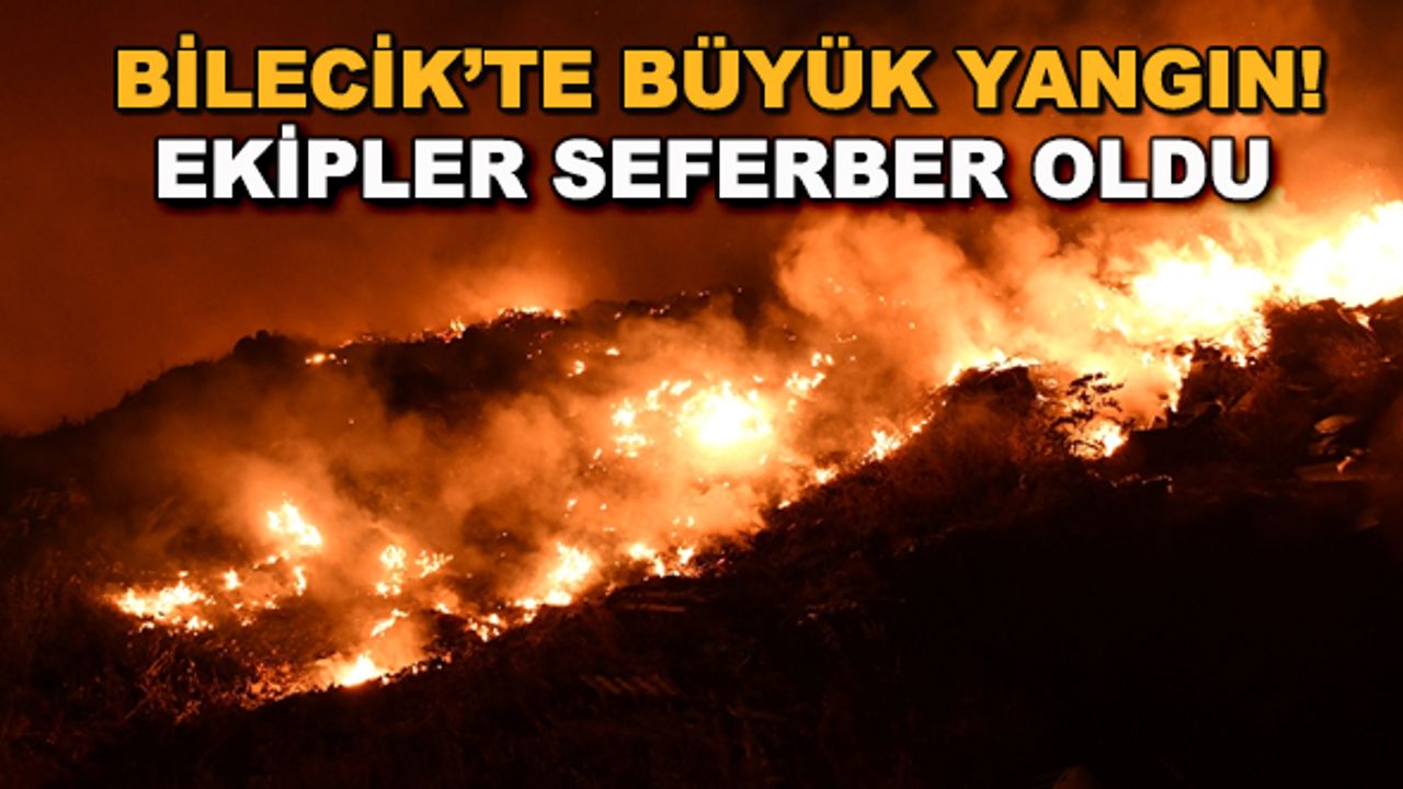 Bilecik'te büyük yangın! Ekipler seferber oldu