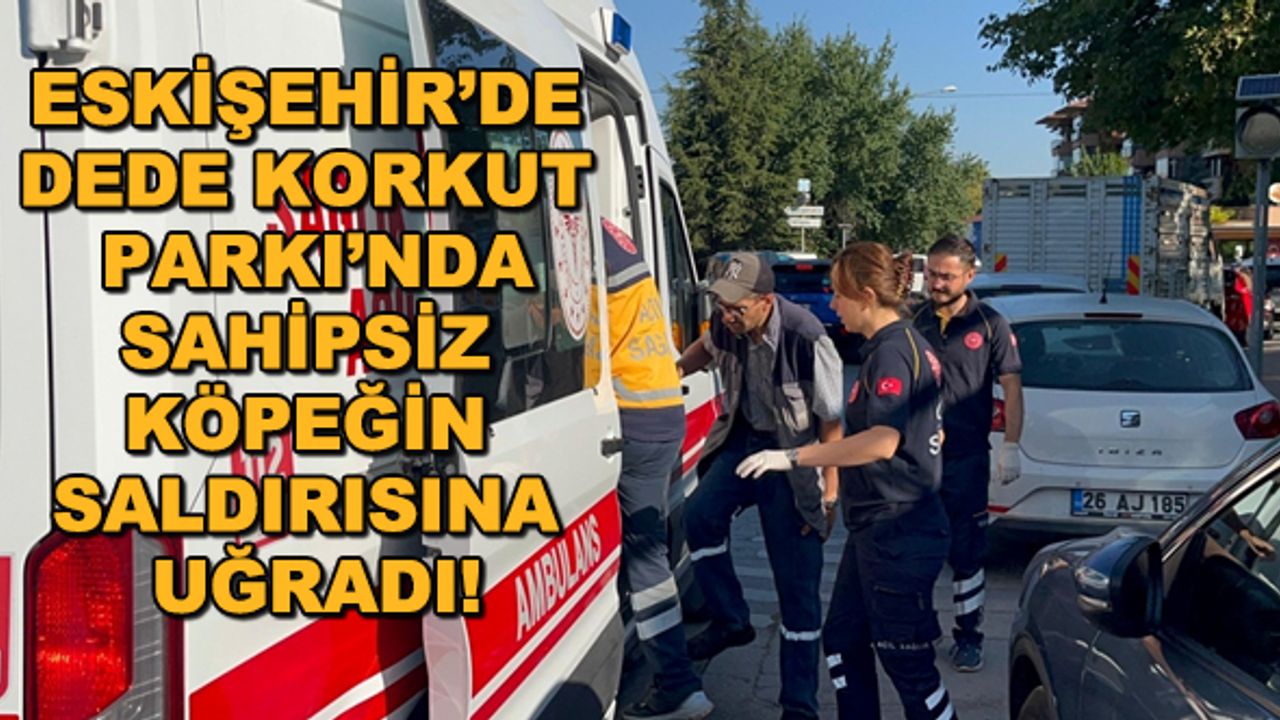 Eskişehir'de Dede Korkut Parkı'nda sahipsiz köpeğin saldırısına uğradı!