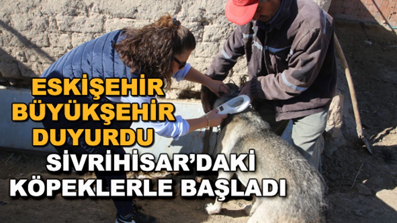 Eskişehir Büyükşehir duyurdu... Sivrihisar'daki köpeklerle başladı