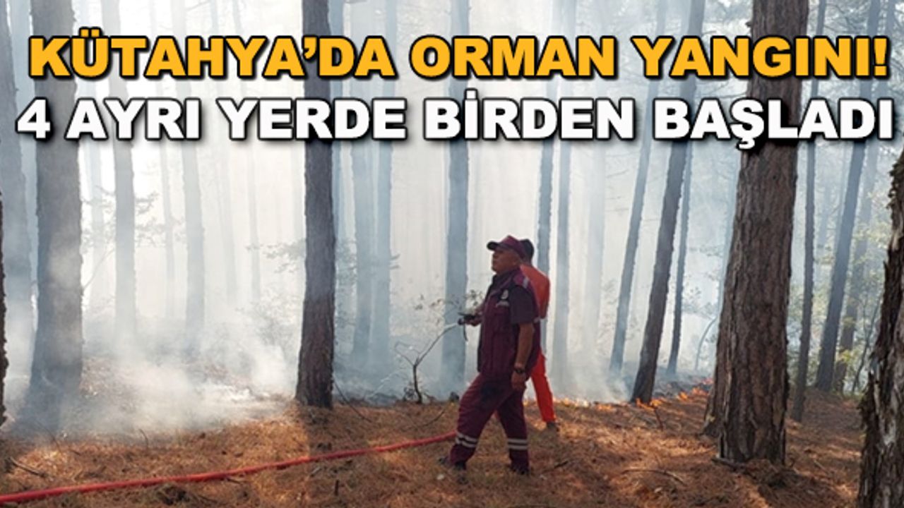 Kütahya'da orman yangını! 4 ayrı yerde birden başladı