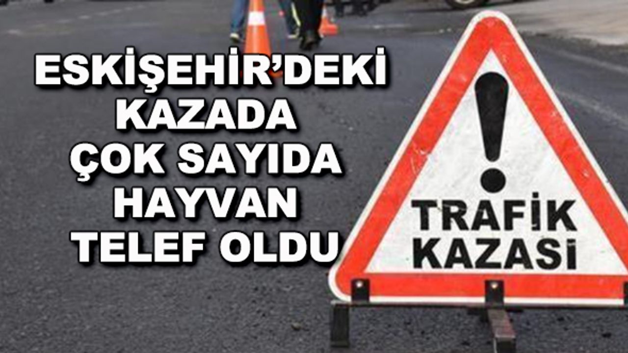 Eskişehir'deki kazada çok sayıda hayvan telef oldu