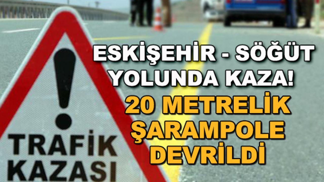 Eskişehir - Söğüt yolunda kaza! 20 metrelik şarampole devrildi