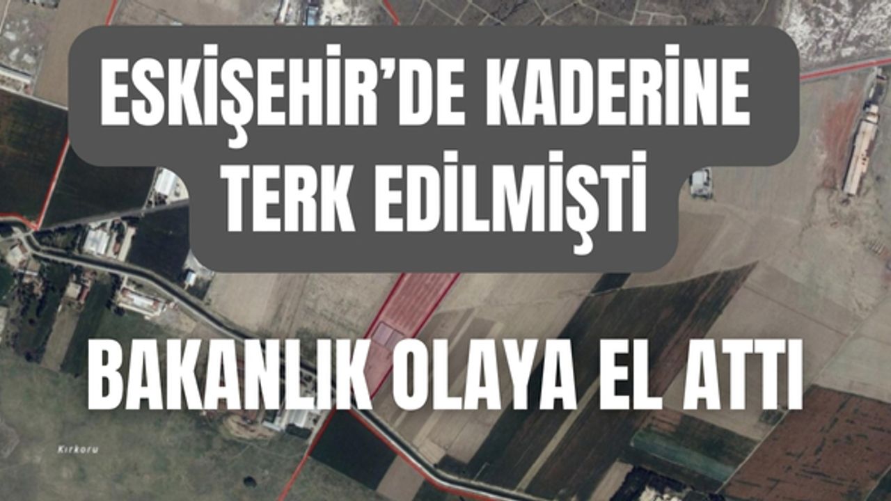 Gürhan Albayrak duyurdu... Eskişehir'e mezbaha için yer tahsis edildi