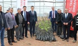 Sarıcakaya için yeni proje