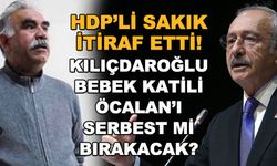 HDP'li Sakık itiraf etti! Kılıçdaroğlu bebek katili Öcalan'ı serbest mi bırakacak?