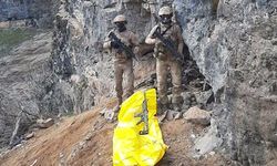 Turuncu kategoride aranan PKK'lı terörist etkisiz hale getirildi