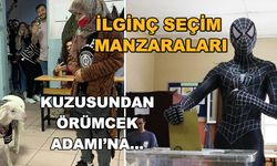 İlginç seçim manzaraları... Kuzusundan Örümcek Adamı'na...
