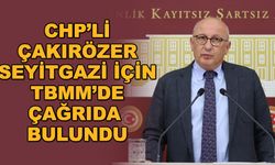 CHP'li Çakırözer Seyitgazi için TBMM'de çağrıda bulundu