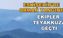 Eskişehir'de orman yangını! Ekipler teyakkuza geçti