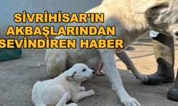 Sivrihisar'ın akbaşlarından sevindiren haber