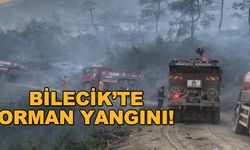 Bilecik'te orman yangını!