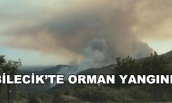 Bilecik'te orman yangını!