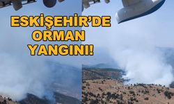 Eskişehir'de orman yangını!
