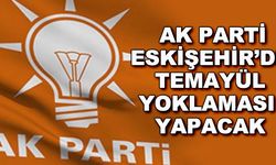 AK Parti Eskişehir'de temayül yoklaması yapacak