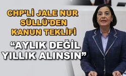 CHP'li Jale Nur Süllü'den kanun teklifi... "Aylık değil, yıllık alınsın"