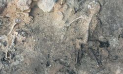 Kütahya'daki keşif 'Yılın En Önemli Arkeolojik Keşfi' seçildi