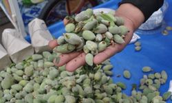 Badem tezgahlara düştü... Kilosu kaç lira?
