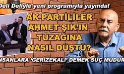 AK Partililer Ahmet Şık'ın tuzağına nasıl düştü? / İnsanlara 'gerizekalı' demek suç mudur? - Deli Deliyle