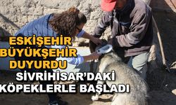 Eskişehir Büyükşehir duyurdu... Sivrihisar'daki köpeklerle başladı