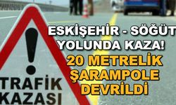 Eskişehir - Söğüt yolunda kaza! 20 metrelik şarampole devrildi