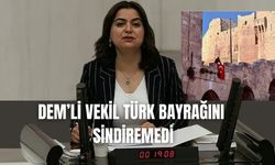 DEM'li vekil Halep Kalesi'ne asılan Türk Bayrağı'nı sindiremedi