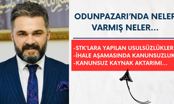 Hasan Burgaz Odunpazarı ile ilgili Sayıştay raporuna giren konuları paylaştı