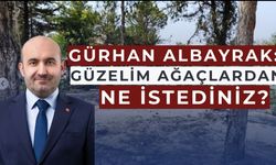 Albayrak'tan ağaç tepkisi