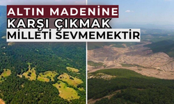 Çevreye zarar verdiği görülmedi