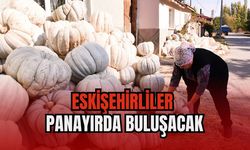 Bal kabağında hasat zamanı