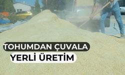 Büyükşehirden yemlik tahıl karışımı