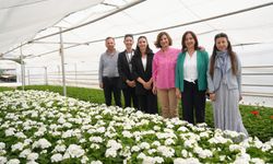 Büyükşehir’den 2025’te yeşil ve yaşam odaklı dönüşüm