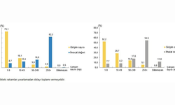 Hizmet ticaretinde devlerin imzası: 2023 verilerinde dikkat çeken "Büyük Ölçek" ayrıntısı