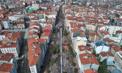 Ağaç budama çalışmaları başlıyor