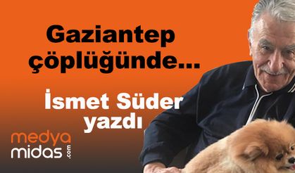 İsmet Süder yazdı...
