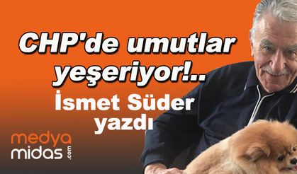 İsmet Süder yazdı...