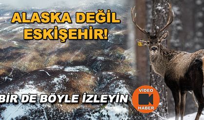Alaska değil Eskişehir!