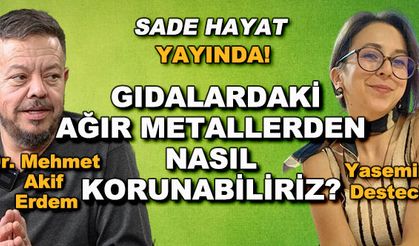 Gıdalardaki ağır metaller nelerdir, nasıl korunabiliriz? - Sade Hayat