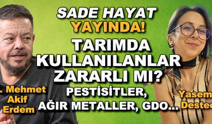 Tarımda kullanılanlar sağlığa zararlı mı? Pestisitler, ağır metaller, GDO... - Sade Hayat