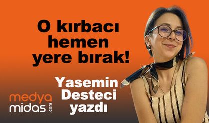 Yasemin Desteci yazdı...