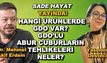 Hangi ürünlerde GDO var? GDO'lu abur cuburların tehlikeleri neler? - Sade Hayat