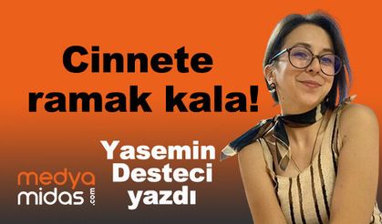 Yasemin Desteci yazdı...