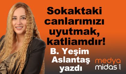 B. Yeşim Aslantaş yazdı...