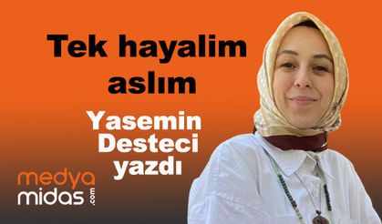 Yasemin Desteci yazdı...