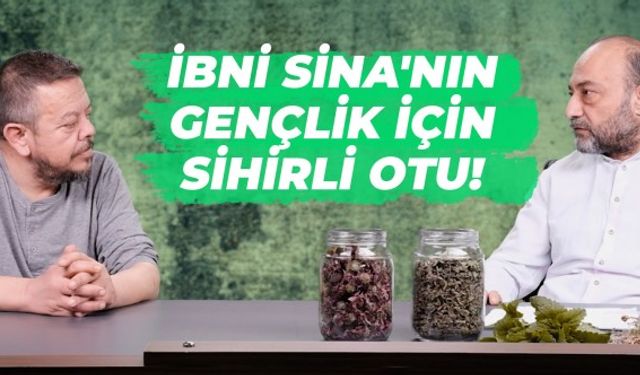 İbni Sina'nın gençlik için sihirli otu! Bu bitkiler her derde deva oluyor | Koca Karya İlacı