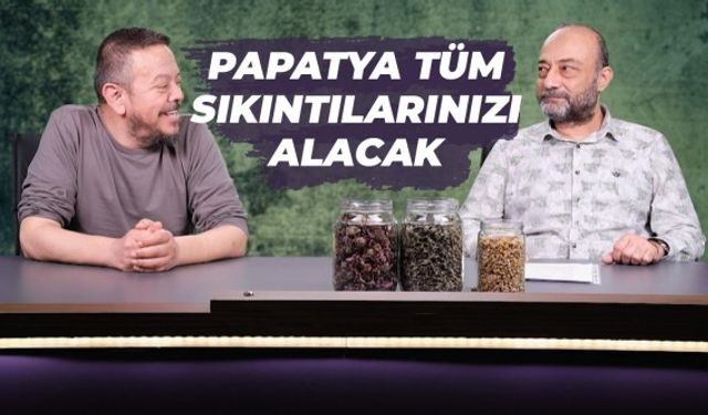 Kokusundan bile şifa bulabilirsiniz! Papatya tüm sıkıntılarınızı alacak | Koca Karya İlacı