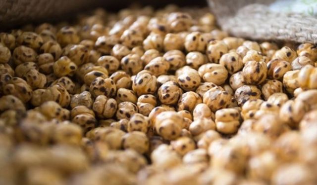 Leblebisi ile ünlü Kütahya ilçesi: Tavşanlı