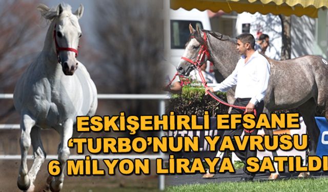 Eskişehirli efsane 'Turbo'nun yavrusu 6 milyon liraya satıldı